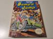 NES Bump' n' Jump USA