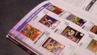 NES PAL-B Guide 2023