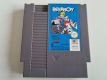 NES Paperboy EEC