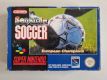 SNES Sensible Soccer FAH