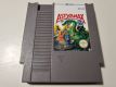 NES Astyanax NOE