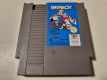 NES Paperboy EEC