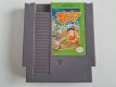 NES Mystery Quest USA